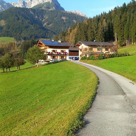 Frische Bergluft Und Laendlicher Charme - Ihr Aktiver Urlaub Am Muehlauhof Mühlbach am Hochkönig Kültér fotó