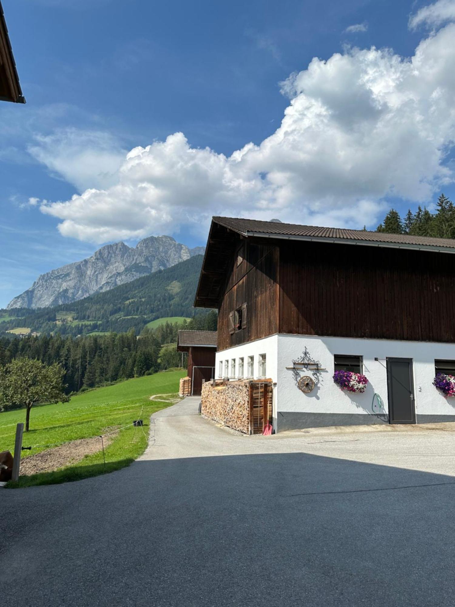 Frische Bergluft Und Laendlicher Charme - Ihr Aktiver Urlaub Am Muehlauhof Mühlbach am Hochkönig Kültér fotó
