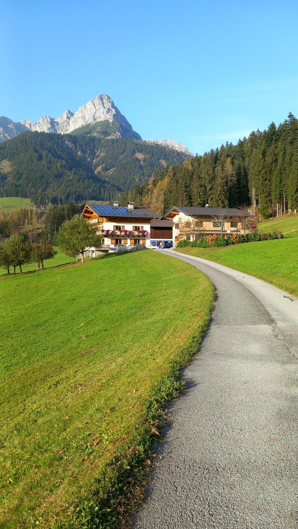 Frische Bergluft Und Laendlicher Charme - Ihr Aktiver Urlaub Am Muehlauhof Mühlbach am Hochkönig Kültér fotó
